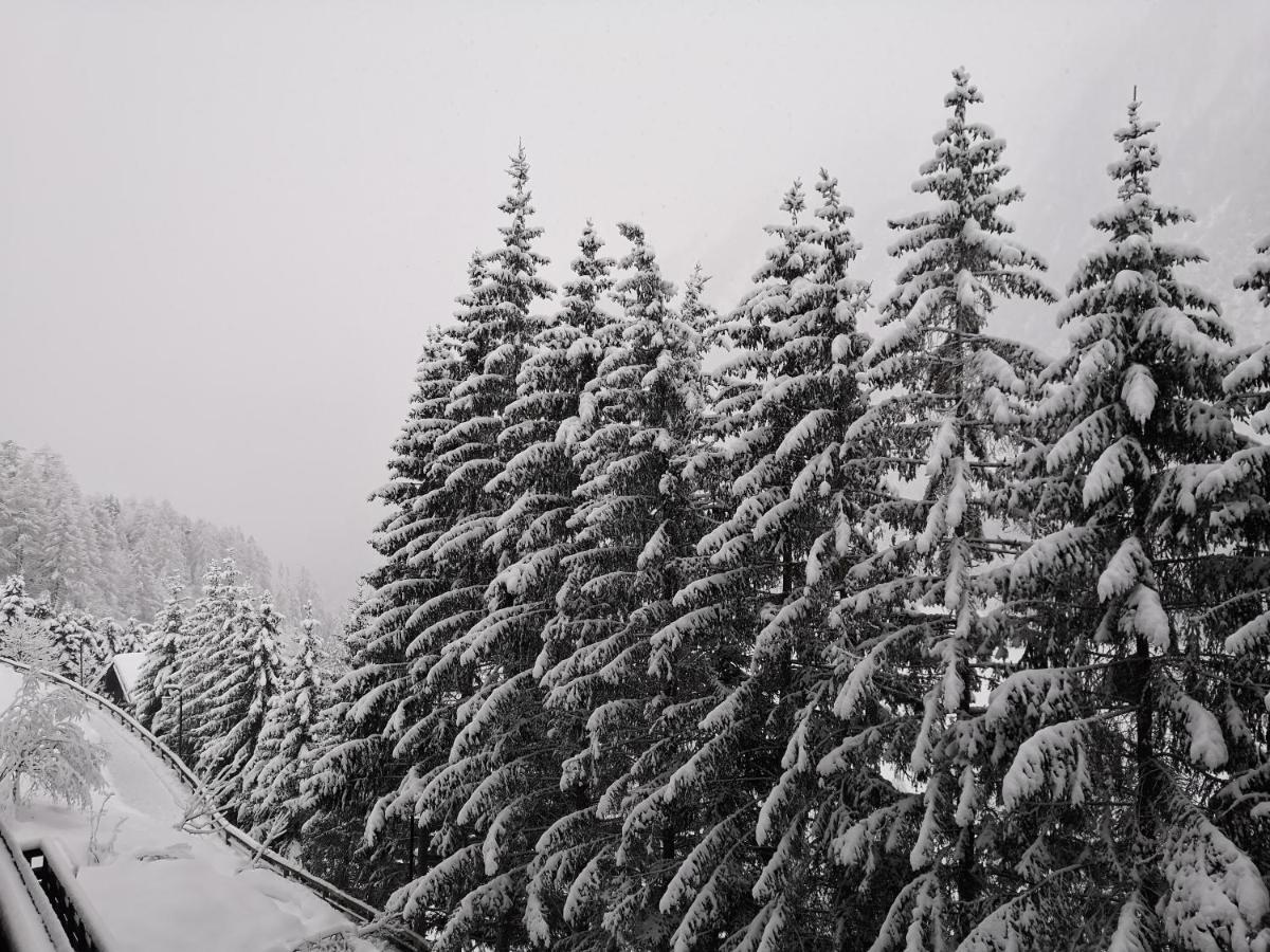 Ferienwohnung Berghaus Glockner, App. Niedermeyer Heiligenblut am Großglockner Exterior foto