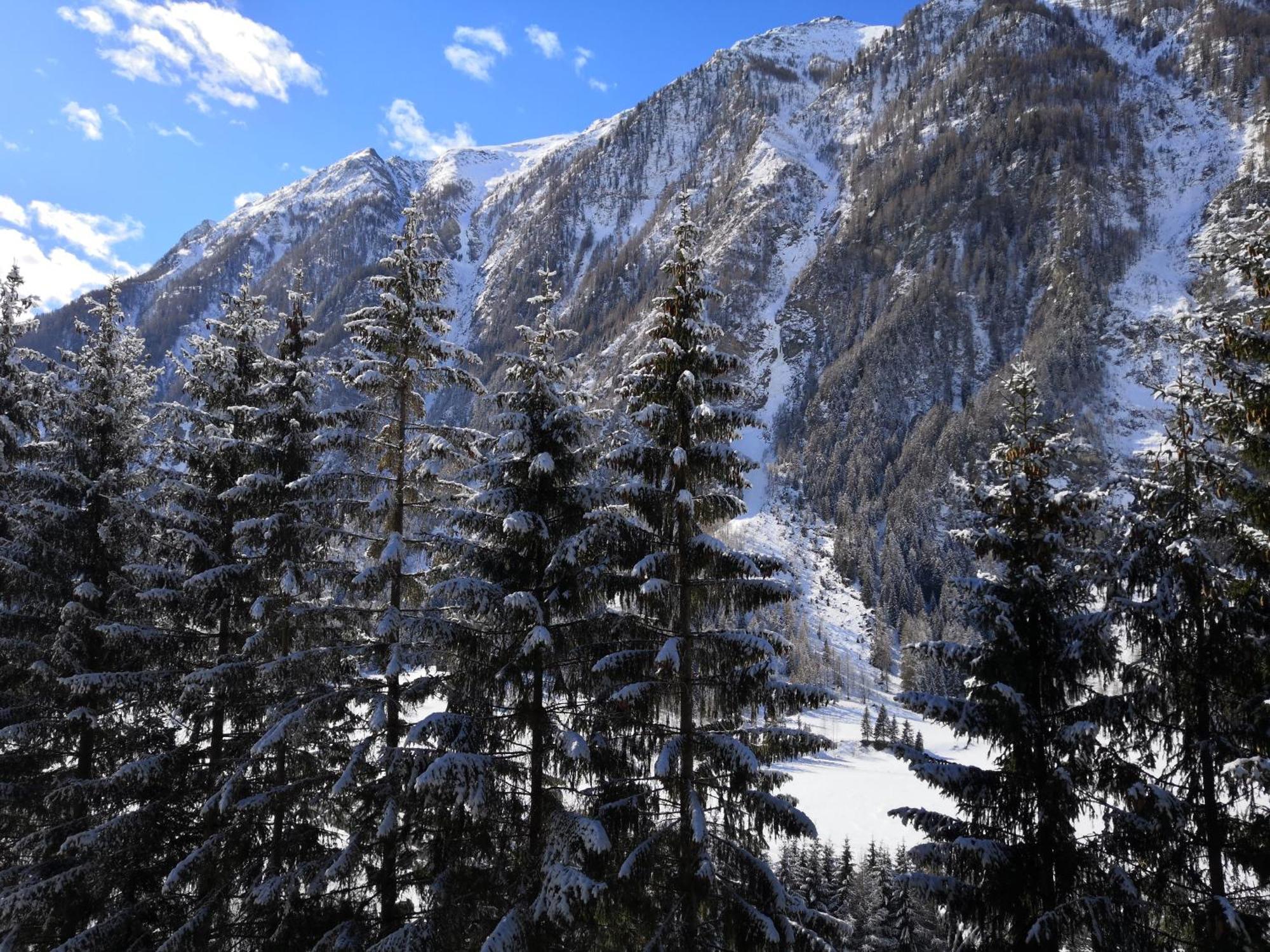 Ferienwohnung Berghaus Glockner, App. Niedermeyer Heiligenblut am Großglockner Exterior foto