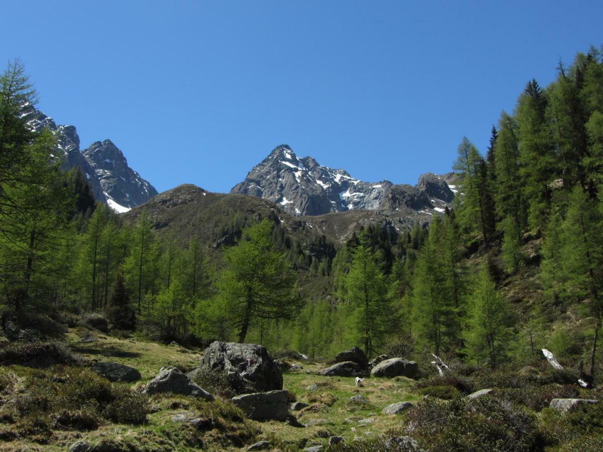 Ferienwohnung Berghaus Glockner, App. Niedermeyer Heiligenblut am Großglockner Exterior foto